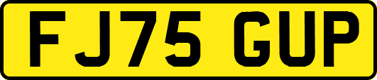 FJ75GUP