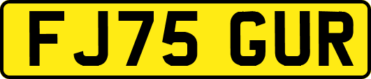 FJ75GUR