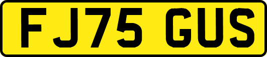 FJ75GUS