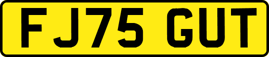 FJ75GUT