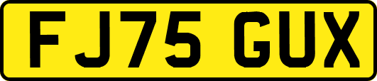 FJ75GUX
