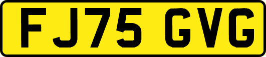 FJ75GVG