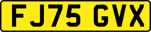 FJ75GVX