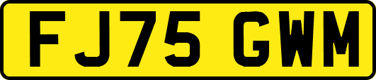 FJ75GWM