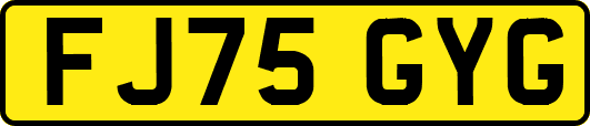 FJ75GYG