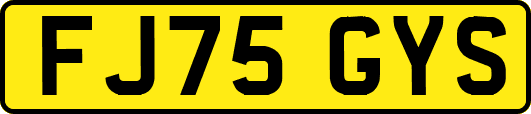 FJ75GYS