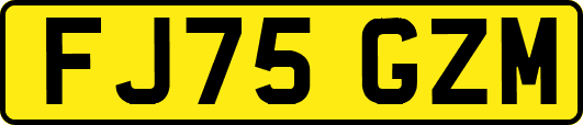 FJ75GZM