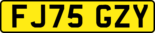 FJ75GZY