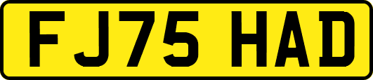 FJ75HAD