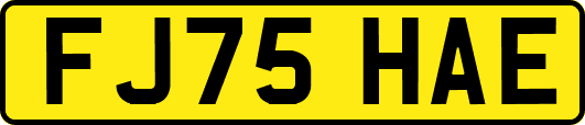 FJ75HAE