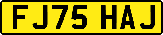 FJ75HAJ
