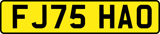 FJ75HAO