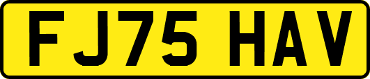 FJ75HAV