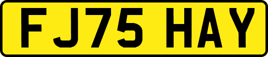 FJ75HAY