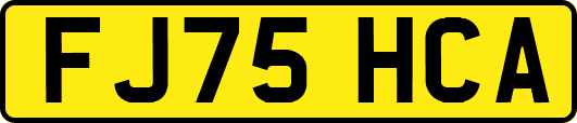 FJ75HCA