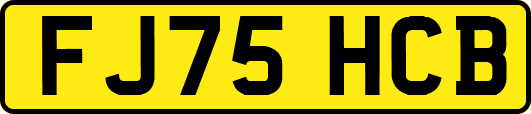 FJ75HCB