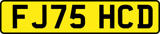 FJ75HCD