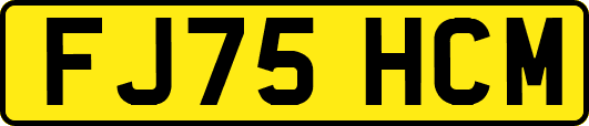 FJ75HCM