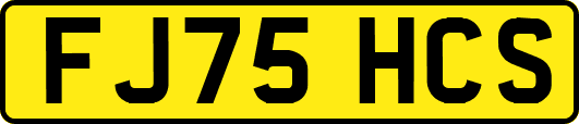 FJ75HCS