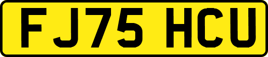 FJ75HCU