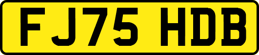 FJ75HDB