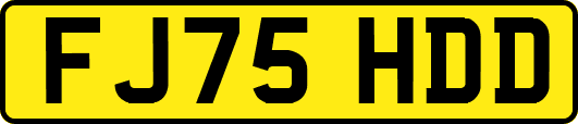 FJ75HDD