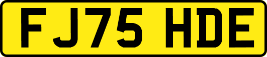 FJ75HDE