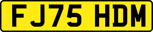 FJ75HDM