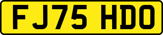 FJ75HDO
