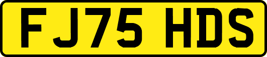 FJ75HDS