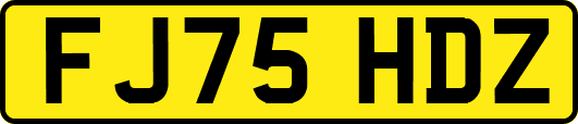 FJ75HDZ