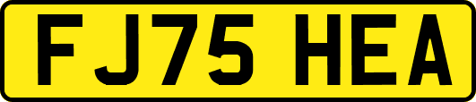 FJ75HEA