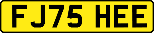 FJ75HEE