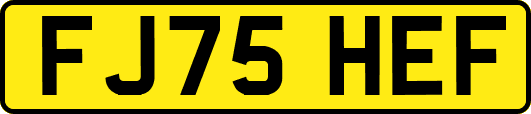 FJ75HEF