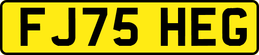 FJ75HEG