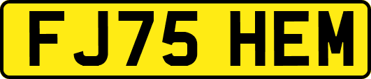 FJ75HEM