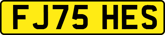 FJ75HES