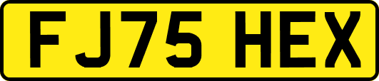 FJ75HEX