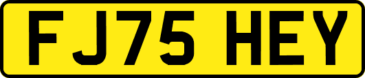 FJ75HEY