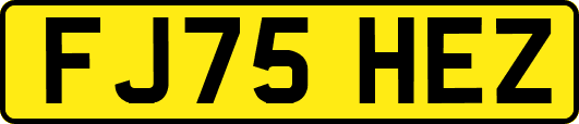 FJ75HEZ