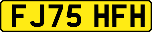 FJ75HFH