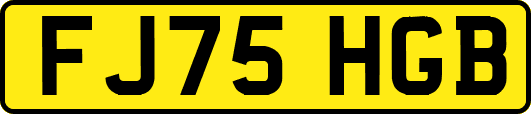 FJ75HGB