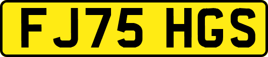 FJ75HGS