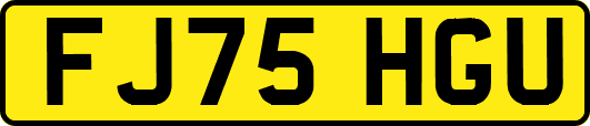 FJ75HGU
