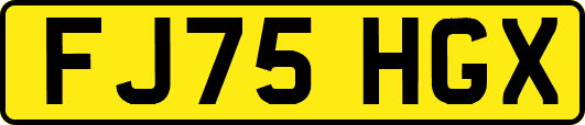 FJ75HGX