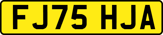 FJ75HJA