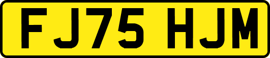 FJ75HJM