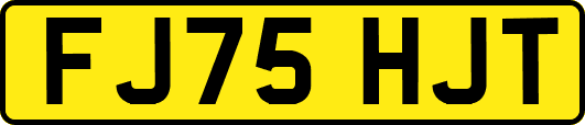 FJ75HJT