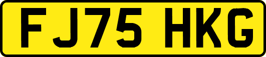 FJ75HKG
