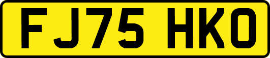 FJ75HKO